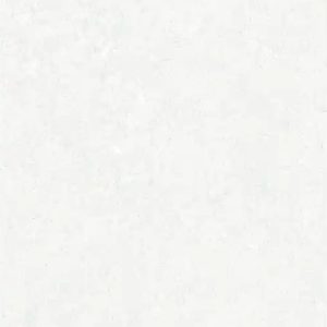 SS-NOW1NR-1 gạch 300x600 mờ porcelain malaysia cao cấp cho nhà tắm và bếp