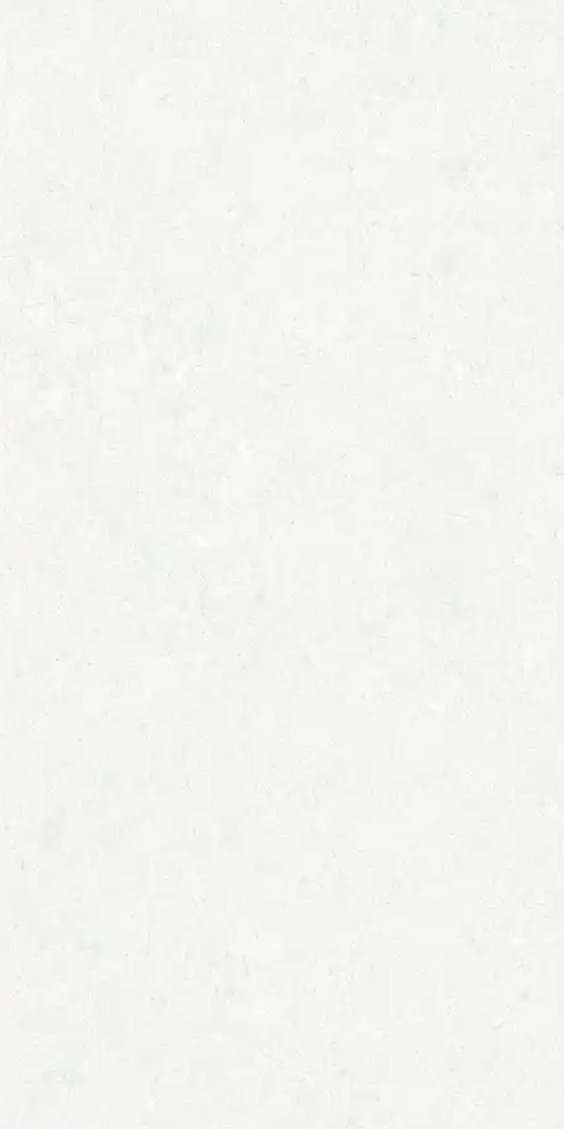 SS-NOW1NR-1 gạch 300x600 mờ porcelain malaysia cao cấp cho nhà tắm và bếp